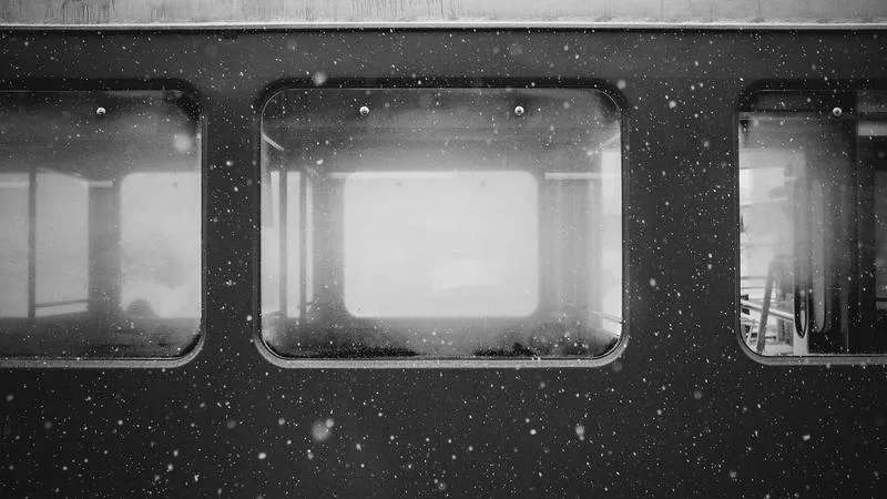 Charleston Savannah guide