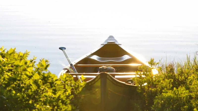 Immersive theatre and experiential festival