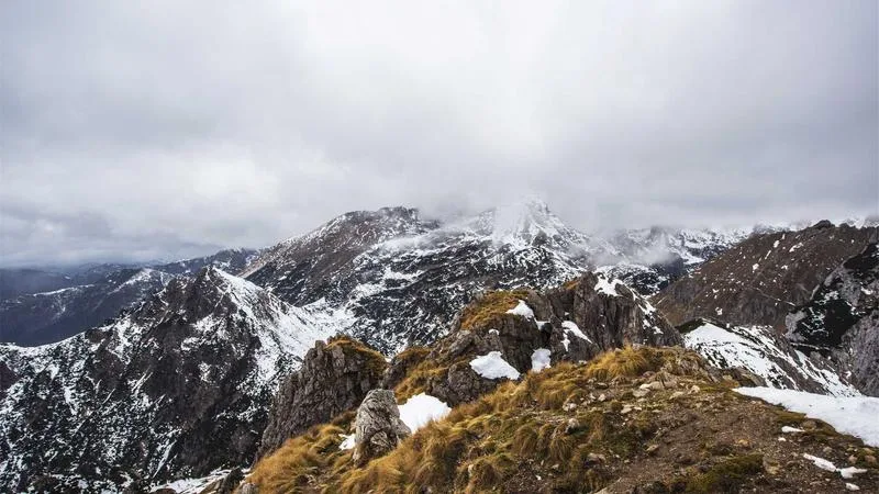 Vinyl records and turntable setup for collectors
