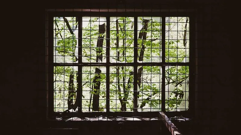 Cosmic astrology zodiac constellations night sky