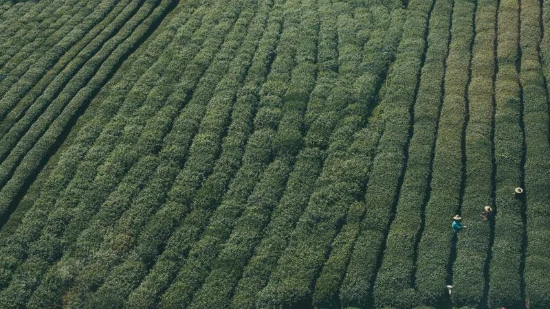 Night out dressing for exclusive venues